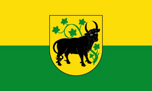 Secondary Image