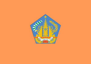 Secondary Image