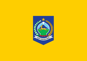 Secondary Image