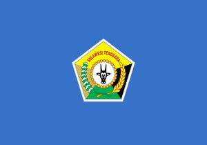 Secondary Image