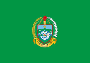 Secondary Image