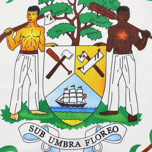 Secondary Image