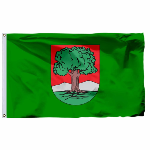 Secondary Image