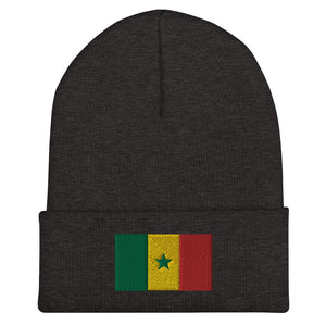 Senegal Flag Beanie - Embroidered Winter Hat