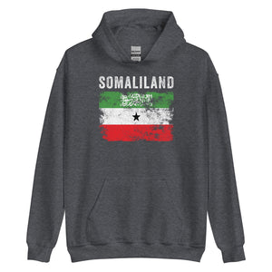 Somaliland Flag Distressed Hoodie