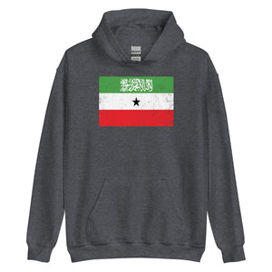 Somaliland Flag Hoodie