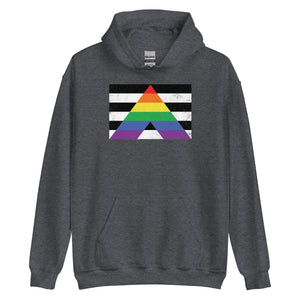 Straight Ally - LGBT+ Hoodie