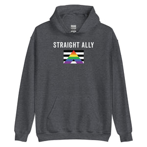 Straight Ally - LGBT+ Hoodie