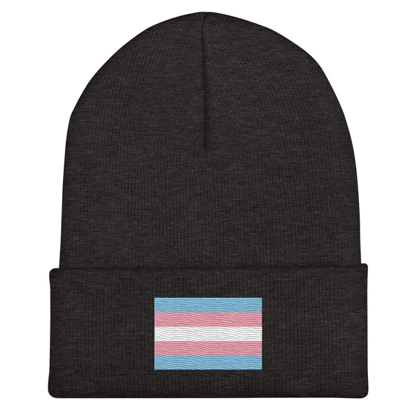 Transgender Flag Beanie - Embroidered LGBT+ Winter Hat
