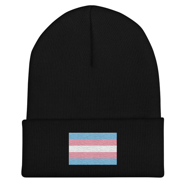 Transgender Flag Beanie - Embroidered LGBT+ Winter Hat