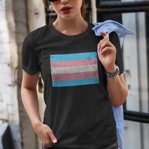 Transgender Flag - LGBT+ T-Shirt