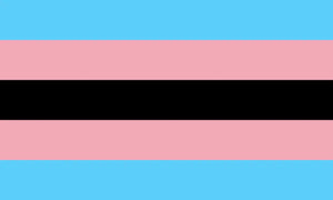 Transgender Pride Flag - 90x150cm(3x5ft) - 60x90cm(2x3ft) - LGBTQIA2S+