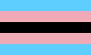Transgender Pride Flag - 90x150cm(3x5ft) - 60x90cm(2x3ft) - LGBTQIA2S+