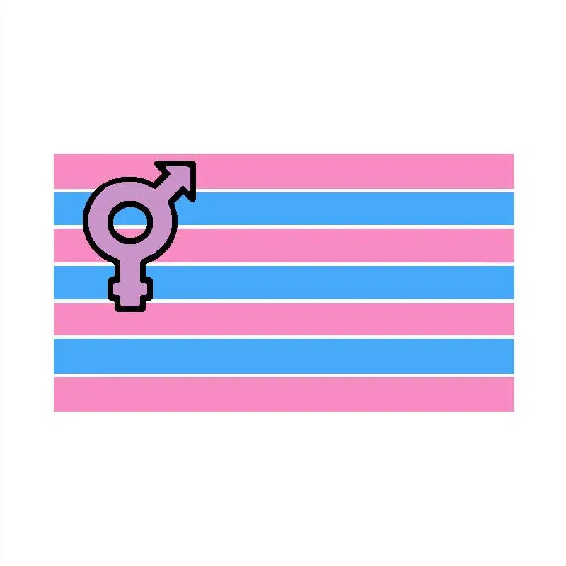 Transgender Pride Flag - 90x150cm(3x5ft) - 60x90cm(2x3ft) - LGBTQIA2S+