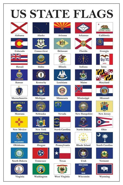 USA State Flags Poster - All 50 States Flags Chart