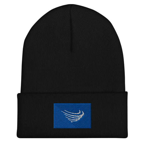 Union Of South American Nations Flag Beanie - Embroidered Winter Hat