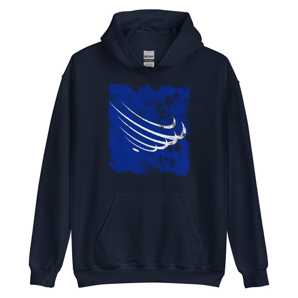 Union Of South American Nations Flag Hoodie