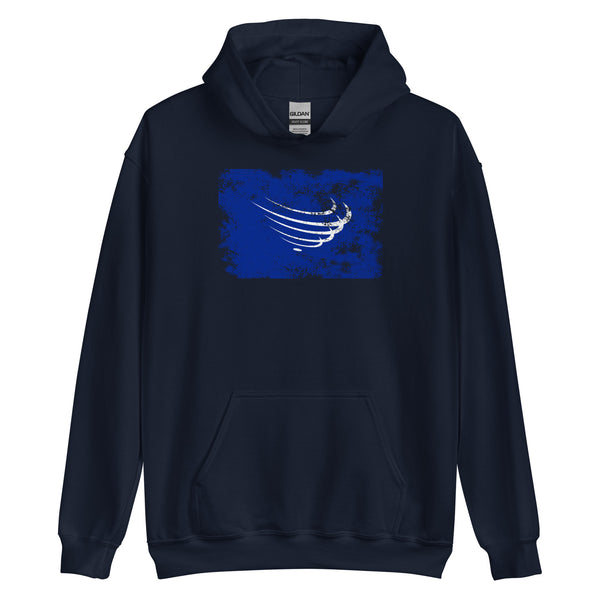 Union Of South American Nations Flag Hoodie