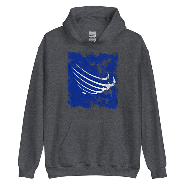 Union Of South American Nations Flag Hoodie