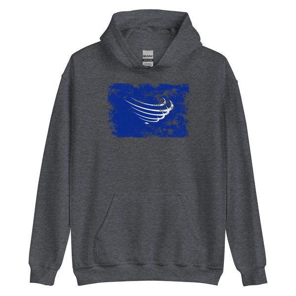 Union Of South American Nations Flag Hoodie