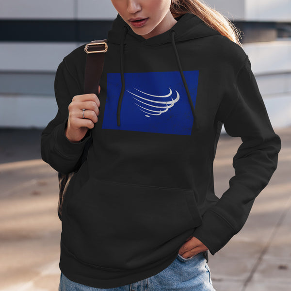 Union Of South American Nations Flag Hoodie