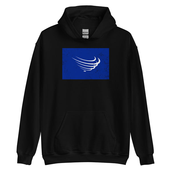 Union Of South American Nations Flag Hoodie