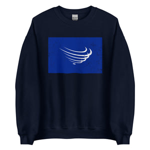 Union Of South American Nations Flag Sweatshirt