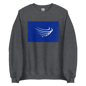 Union Of South American Nations Flag Sweatshirt