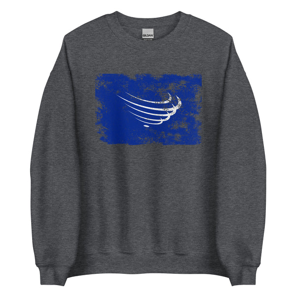 Union Of South American Nations Flag Sweatshirt