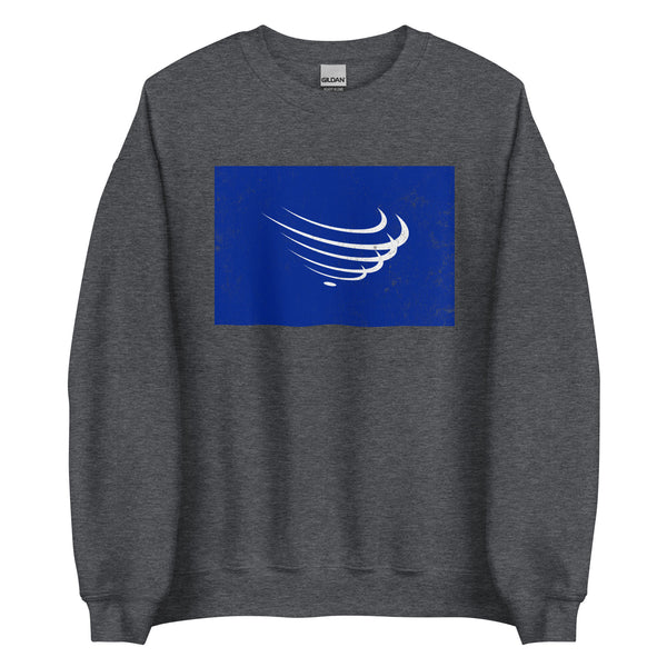 Union Of South American Nations Flag Sweatshirt