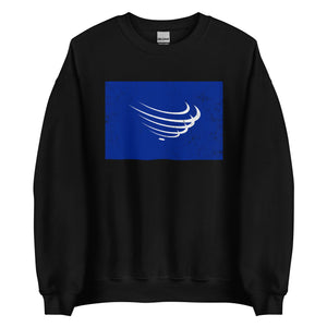 Union Of South American Nations Flag Sweatshirt