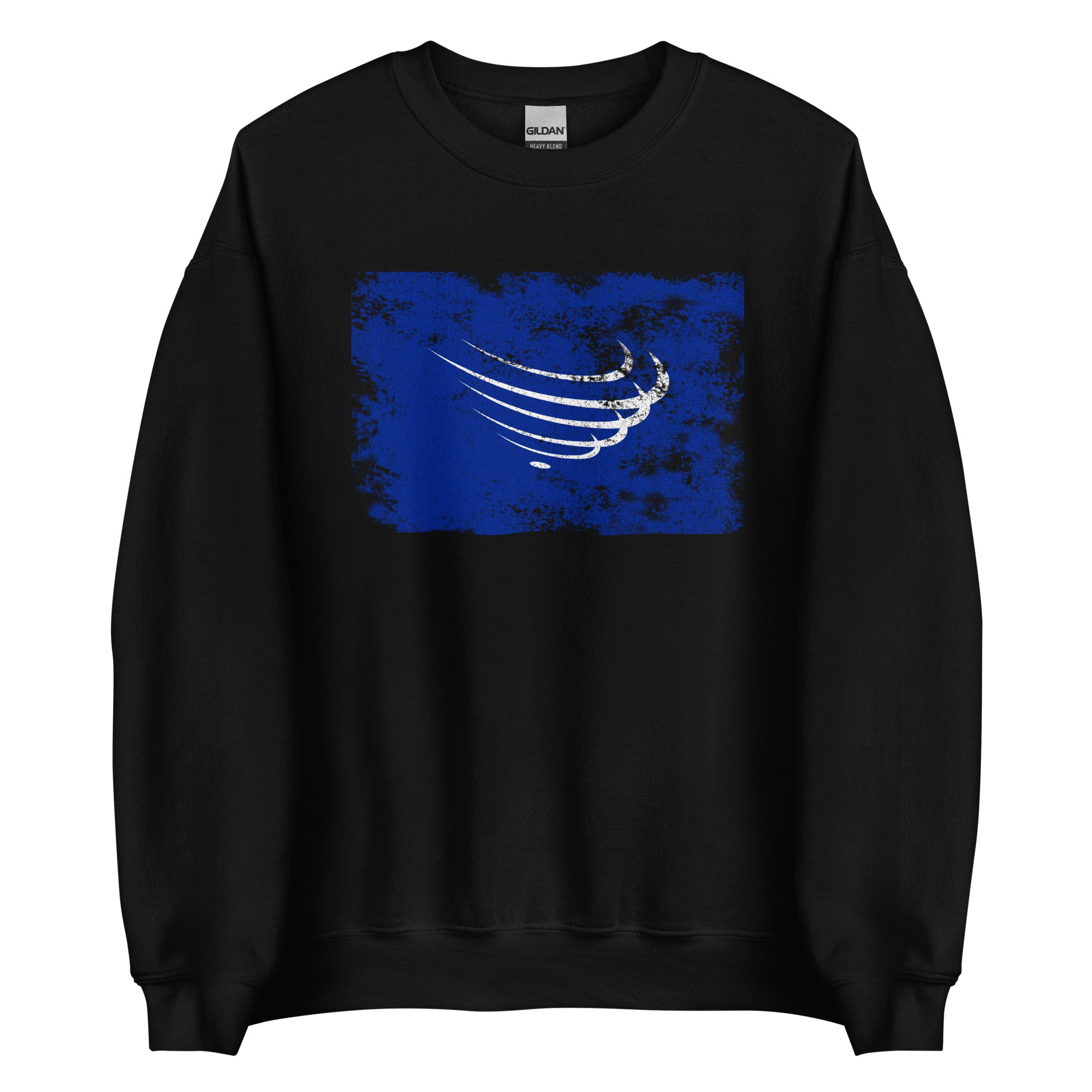 Union Of South American Nations Flag Sweatshirt