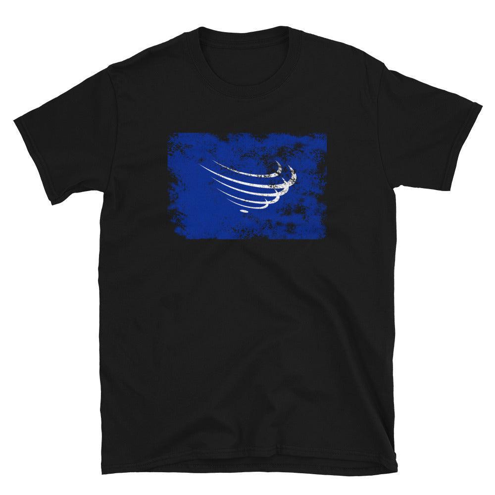Union Of South American Nations Flag T-Shirt