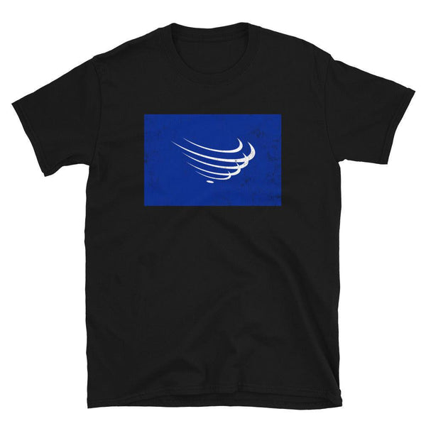 Union Of South American Nations Flag T-Shirt