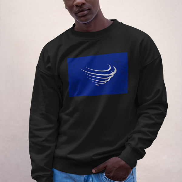 Union Of South American Nations Flag Sweatshirt