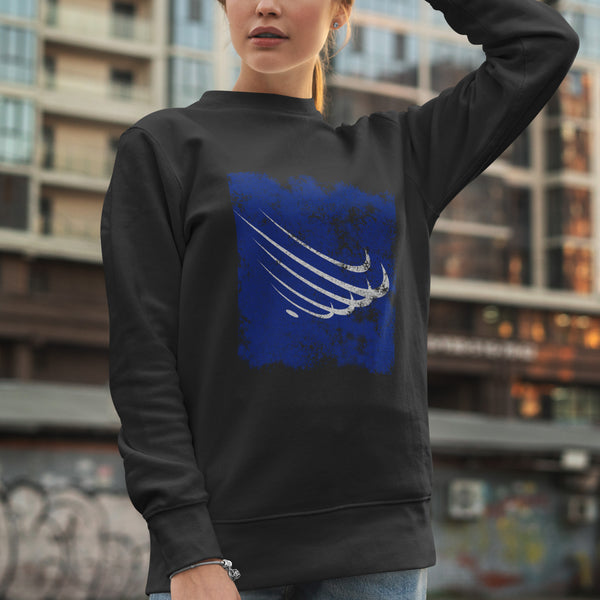 Union Of South American Nations Flag Sweatshirt