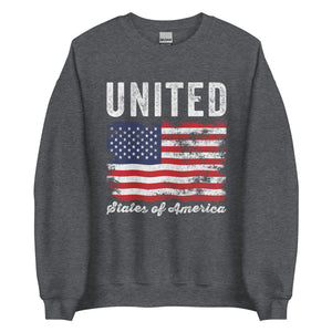 United States of America Flag Distressed Sweatshirt