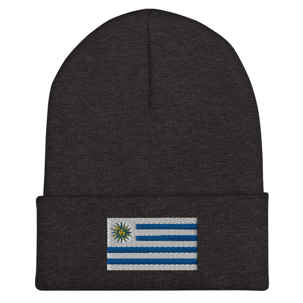 Uruguay Flag Beanie - Embroidered Winter Hat