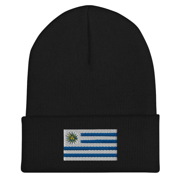Uruguay Flag Beanie - Embroidered Winter Hat