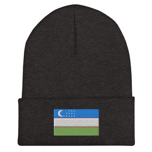 Uzbekistan Flag Beanie - Embroidered Winter Hat