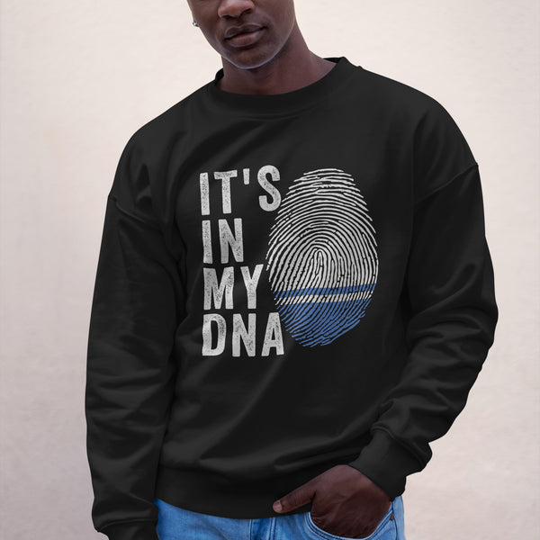 It's In My DNA - Altai Republic Flag Sweatshirt
