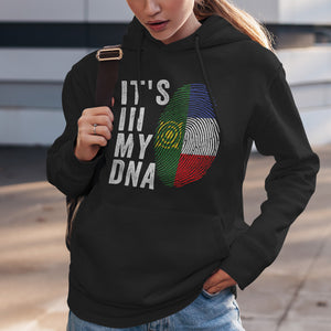 It's In My DNA - Khakassia Flag Hoodie