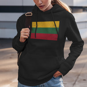 Lithuania Flag Hoodie