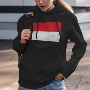 Monaco Flag Hoodie