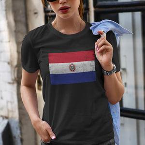 Paraguay 1990-2013 Flag T-Shirt